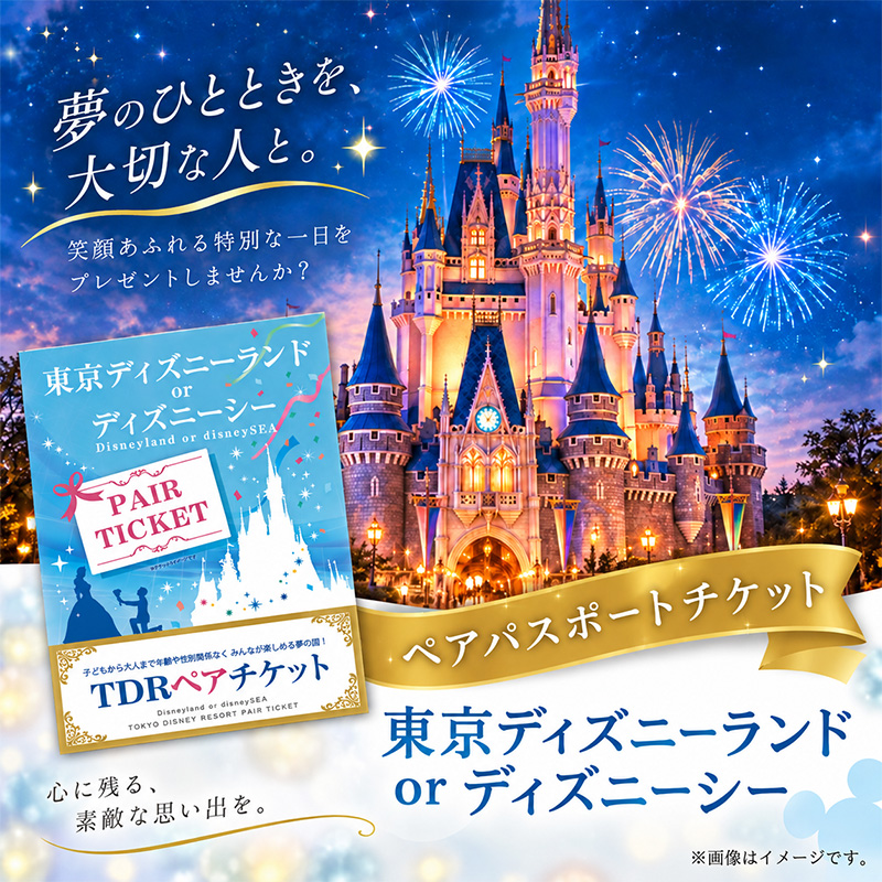 ディズニーランドorディズニーシーペアチケット目録 ノベルティ 景品 パネル 景品セット ビンゴ 結婚式 目録 二次会 ディズニー