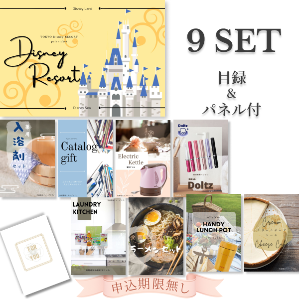 ディズニーペアチケット 9点セット