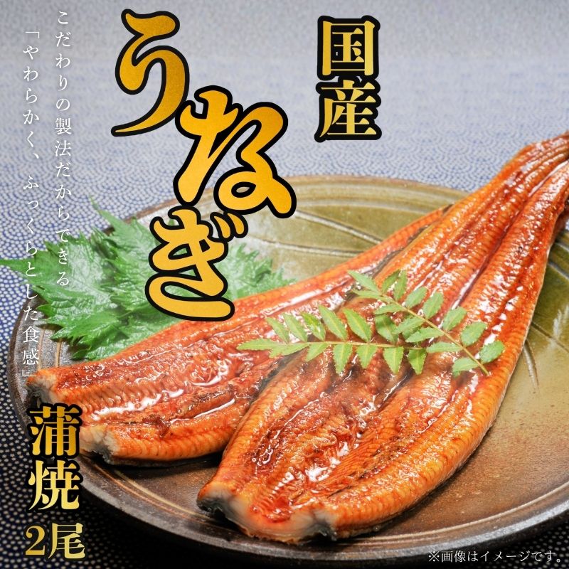 景品セット ビンゴ 二次会 国産 うなぎ 蒲焼2尾 5点セット 目録 A3パネル QUO二千円 UNG5_Q2の画像