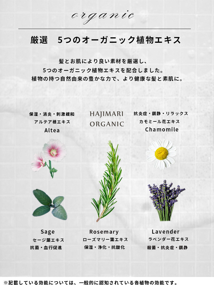 ヘアケアセット シャンプー コンディショナー ボディソープ