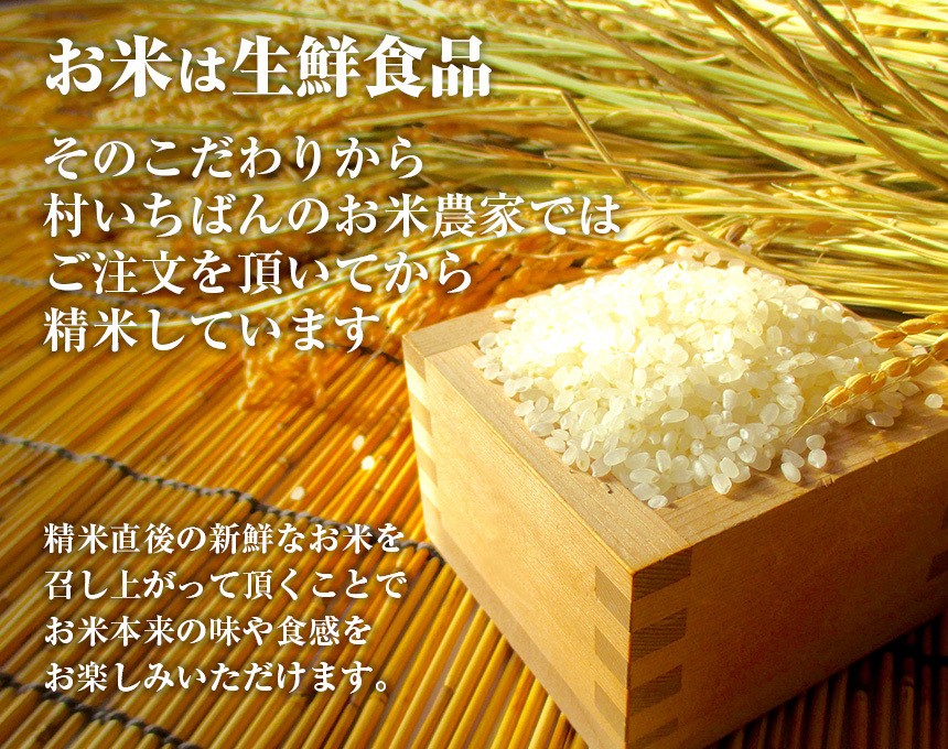 ミルキープリンセス 令和5年秋田県産 玄米25kg(精米後22.5kg