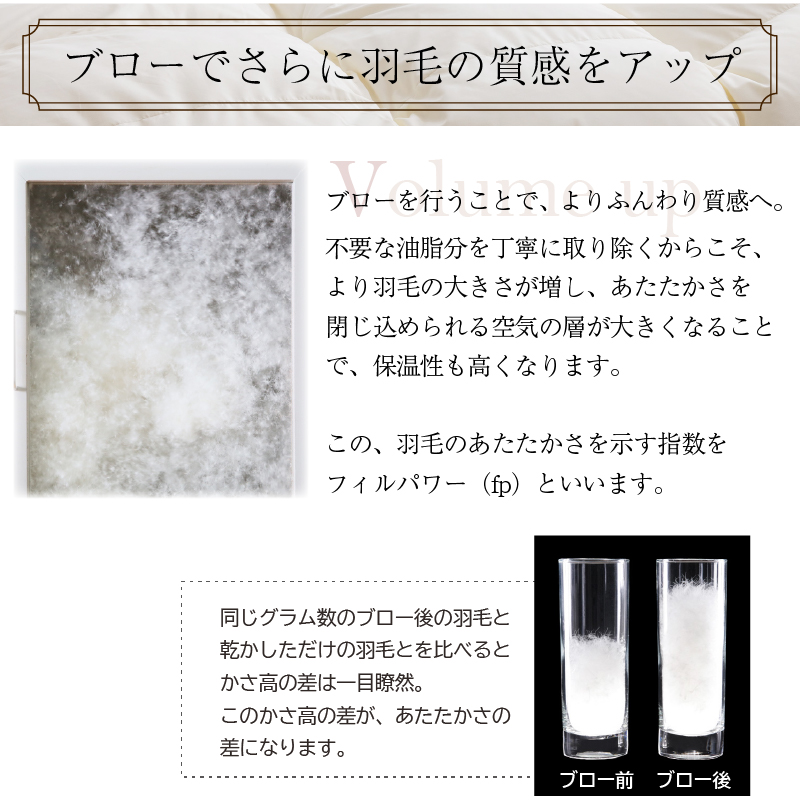 羽毛布団 クイーン 羽毛 布団 日本製 防ダニ 国産 国内洗浄 暖か