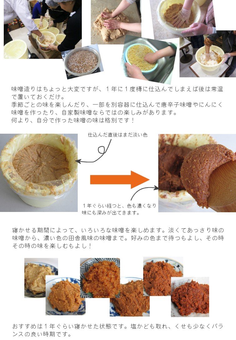 自宅で味噌を作ってみませんか？