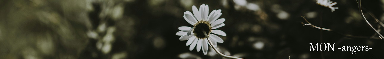 MON-angers ヘッダー画像