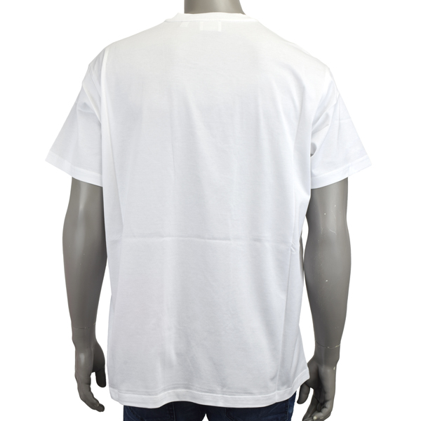 BURBERRY バーバリー HARRISTON/ロゴ Tシャツ/8084234 A1464