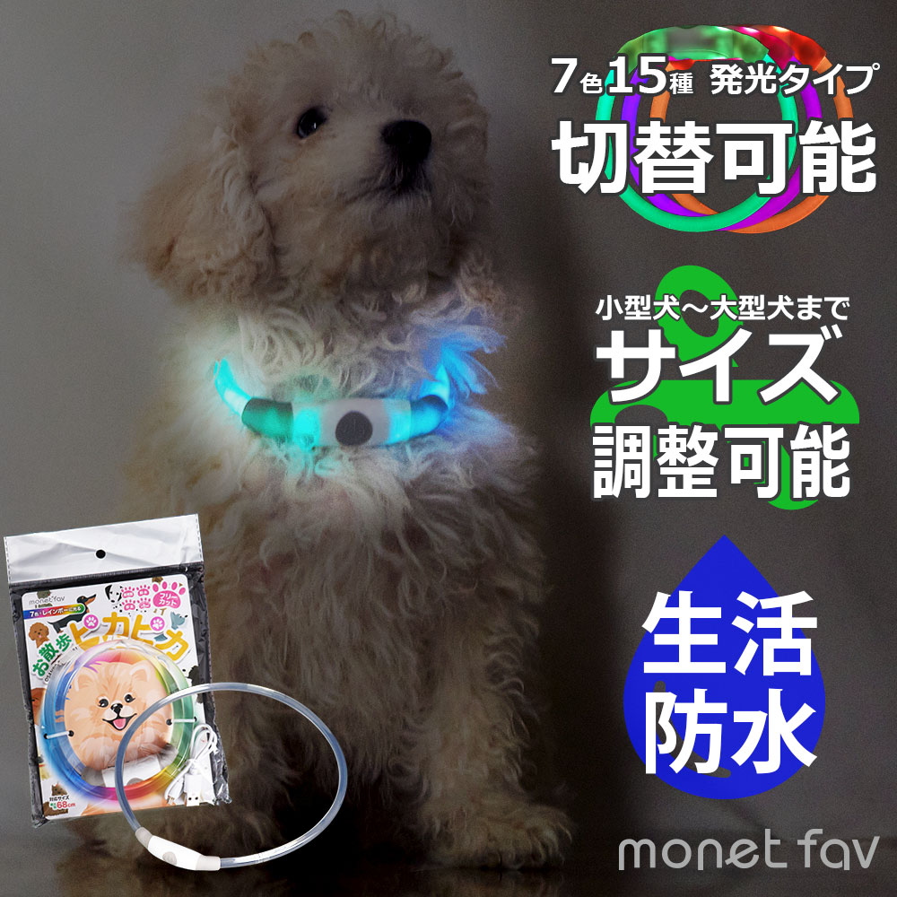 光る首輪 お散歩ピカピカ LEDライト フリーサイズ フリーカラー