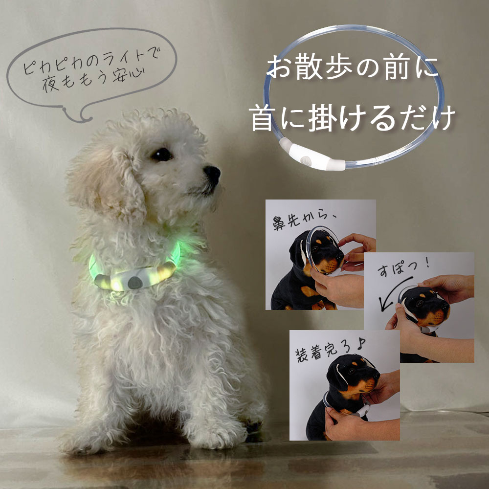 光る首輪 お散歩ピカピカ LEDライト フリーサイズ フリーカラー