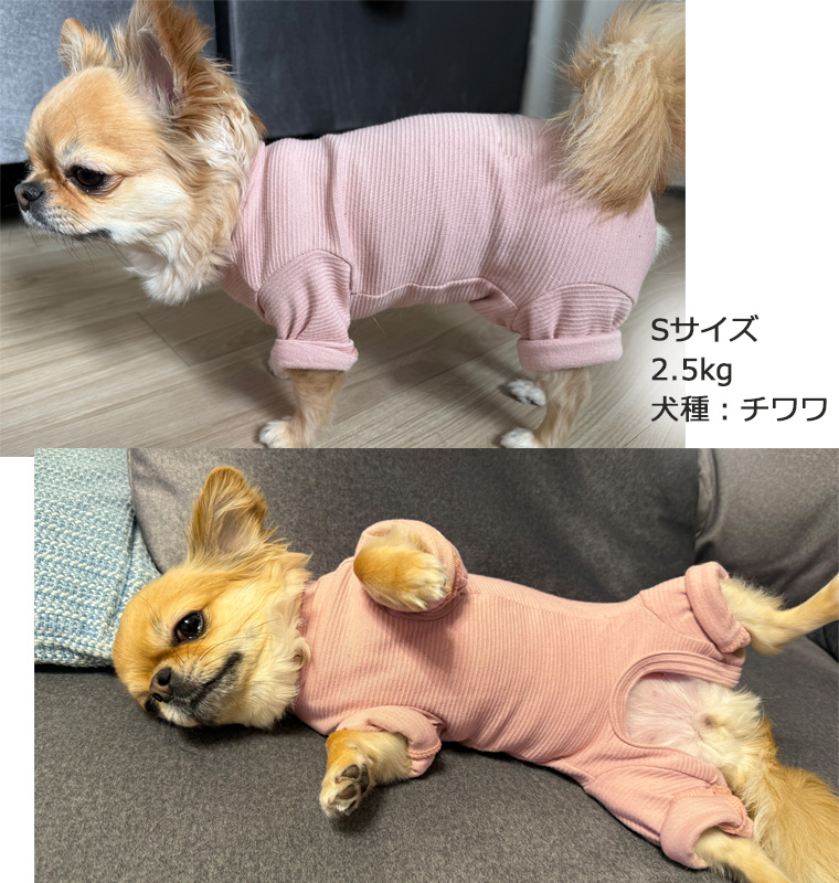 犬用ロンパース｜敏感肌・アレルギー対応｜ストレッチ素材・シニア犬