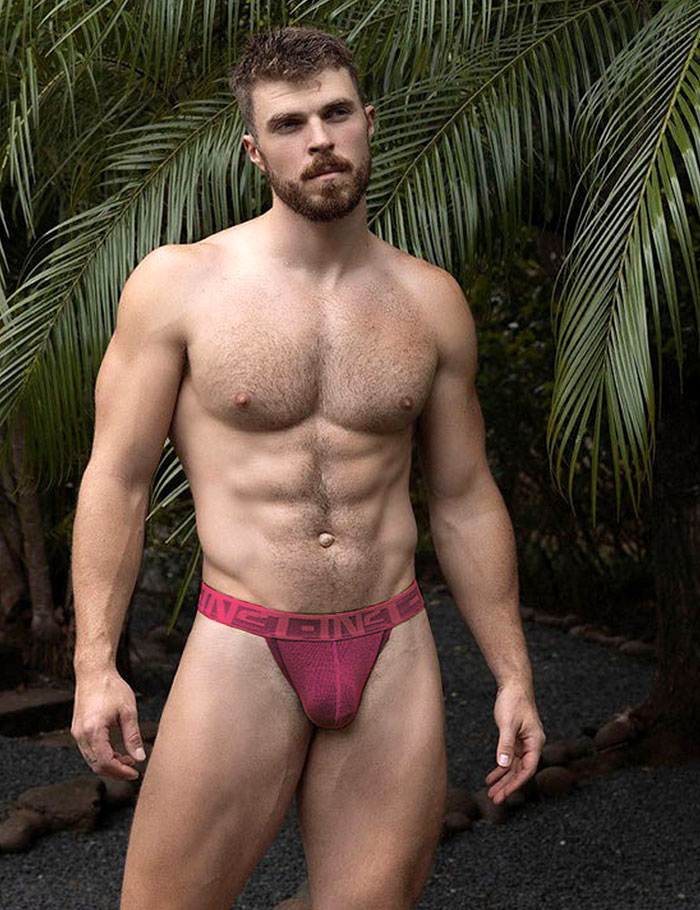 メンズTバック メンズ Tバック C-IN2 UNDERTONE THONG ティーバック サポーター リブコットン シーインツー CIN2 下着 男性 セクシー |  | 05