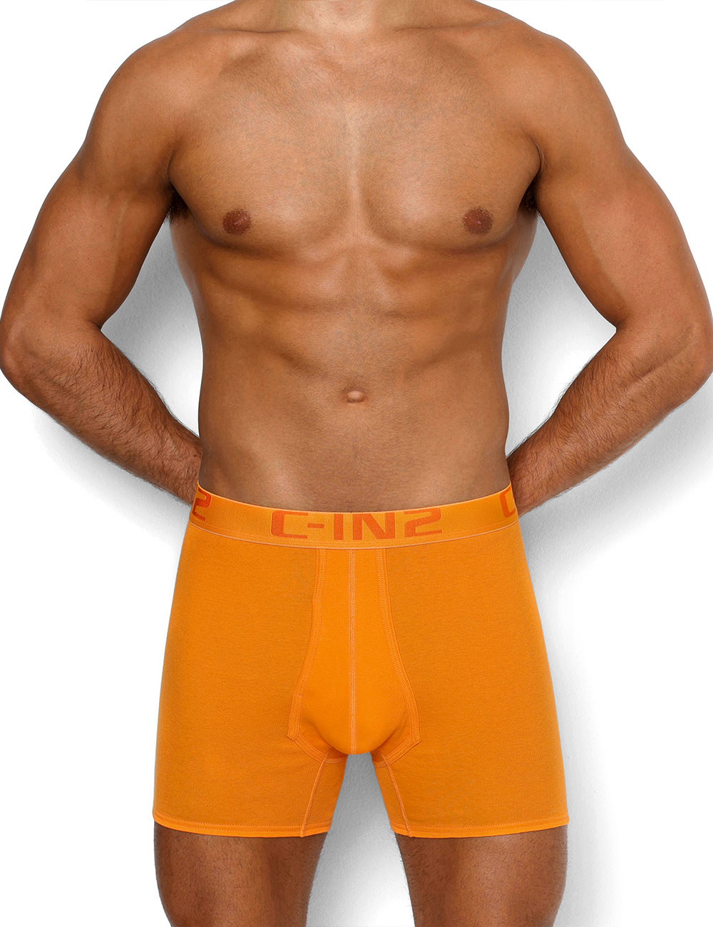 ボクサーパンツ メンズ ロングボクサーパンツ メンズ C-IN2 CORE MID RISE BOXER コットン 100% 綿 シーインツー CIN2 下着 男性 セクシー |  | 02