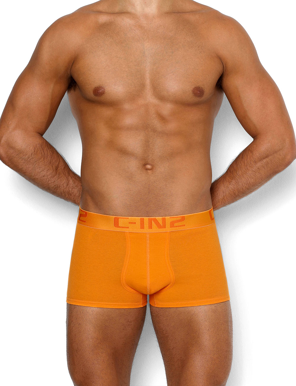 ボクサーパンツ メンズ ボクサーパンツ メンズ C-IN2 CORE MID RISE TRUNK コットン 100% 綿 シーインツー CIN2 下着 男性 セクシー |  | 02