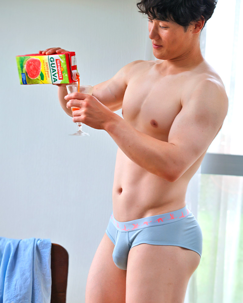 ブリーフ メンズ ローライズブリーフ UNDERSTAND アンダースタンド ZOO-PANTS ズーパン ビキニ アニマル柄 モダール パンツ 下着 男性 ブランド プレゼント | アンダースタンド | 01