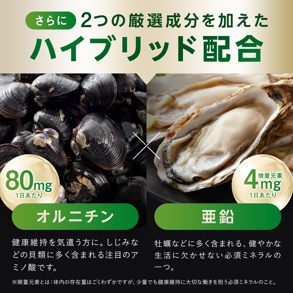 ポイント8倍! 爆買 7/31から! 肝臓 サプリ スルフォラファン