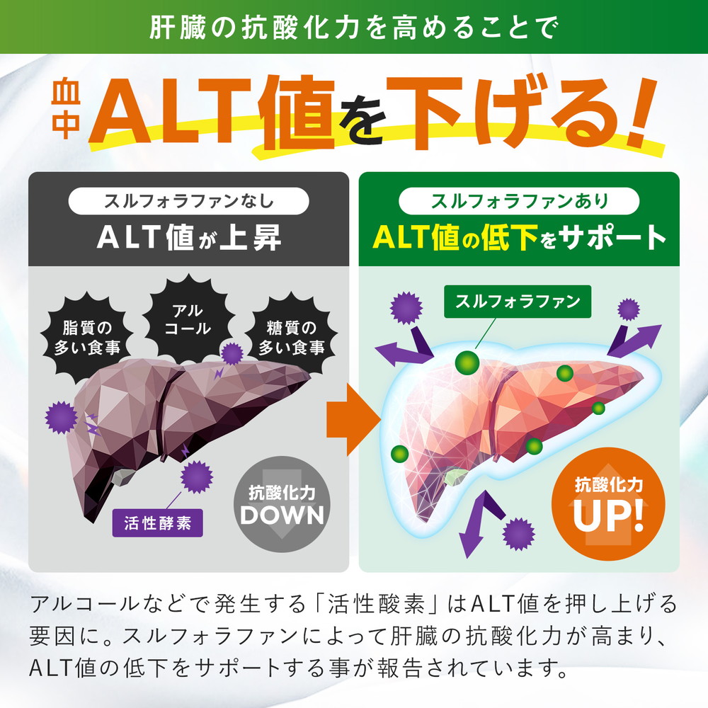 スルフォラファンのおすすめ人気商品一覧 通販 - Yahoo!ショッピング