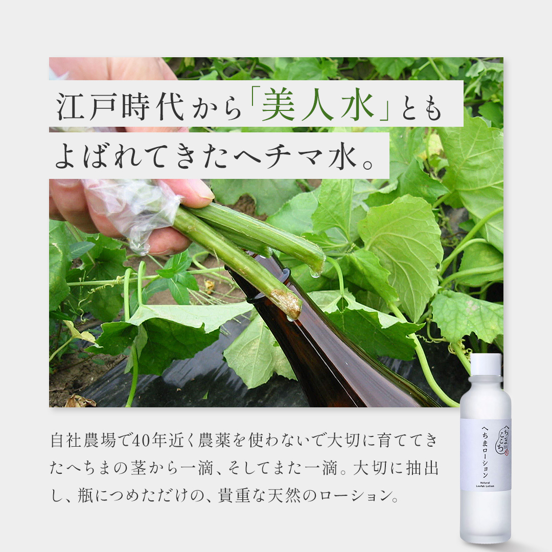 へちまここち ヘチマ水 国産 化粧水 120ml ヘチマローション 無添加