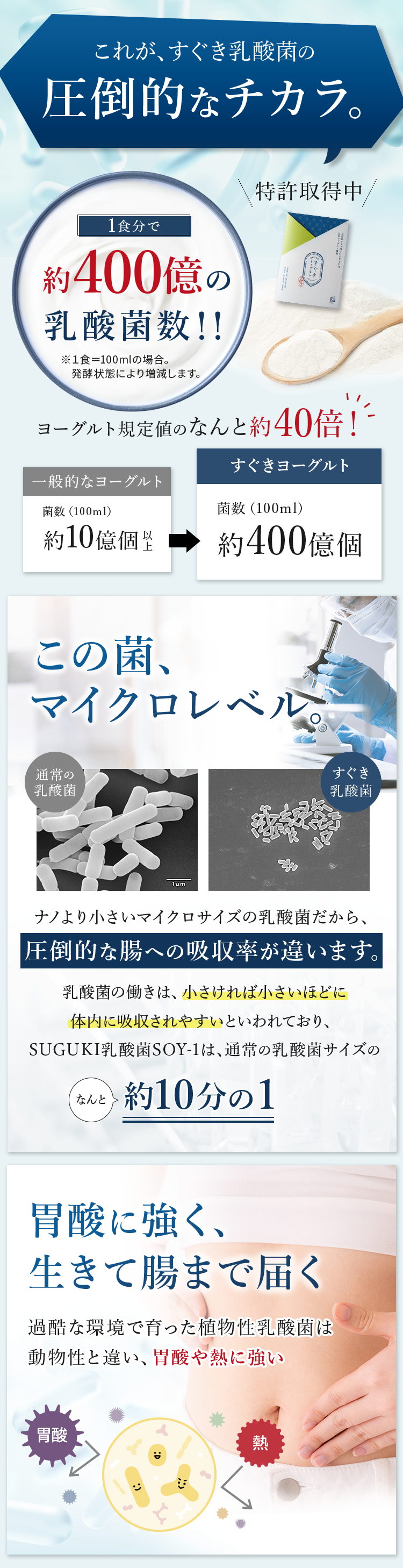 マイクロレベル