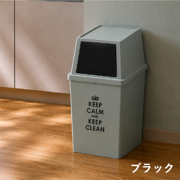 平和工業 ゴミ箱 スタッキング 分別 ふた付き フロントオープン 45