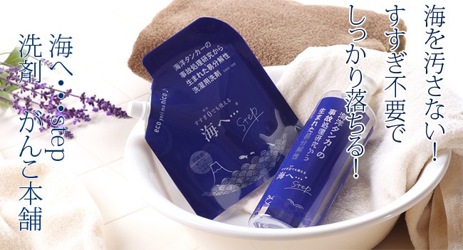 がんこ本舗 海へ Fukii・・・詰替え3kg BOX 液体洗剤 洗浄剤 環境洗剤