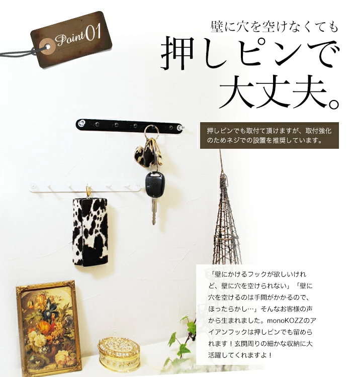 9個掛けアイアンピンフック 】アイアン 壁面収納 プッシュピン