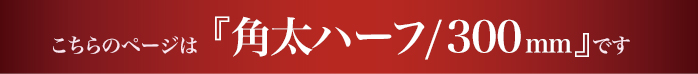 ハーフタオルハンガー角太300mmのページです