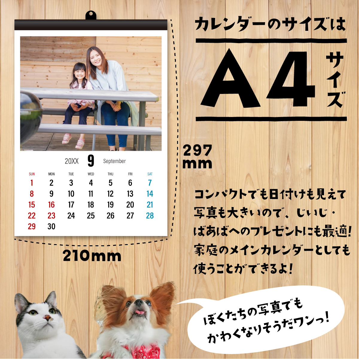 卒業A4サイズ壁掛けカレンダー写真入りオリジナルプレゼント家族孫ペットシンプルデザインギフト子ども両親赤ちゃん誕生日記念品犬猫友達卒業記念品先生敬老記念に残る12ヶ月カレンダー