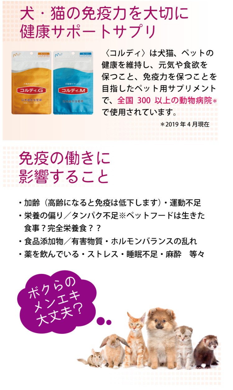 安い購入 倍 倍 ストア 本日ｐ最大17倍 犬 猫 ペット うさぎ サプリメント サプリ 健康維持 免疫力 保つ シニア 冬虫夏草 送料無料 コルディm100g 人気no 1 本体 Homeofmalones Com