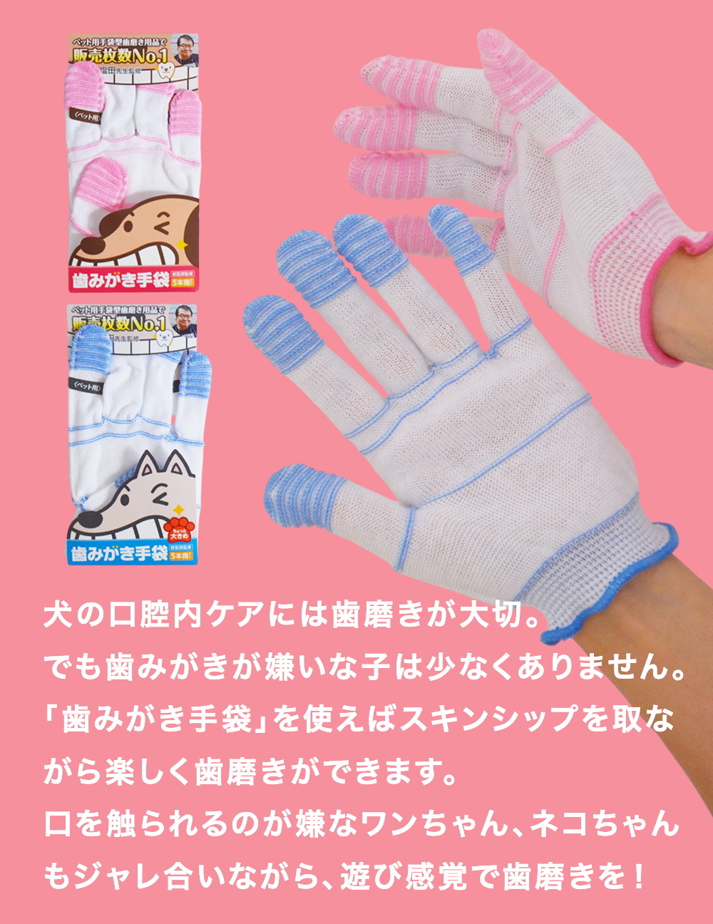 犬の口腔内ケアには歯磨きが大切。でも歯みがきが嫌いな子は少なくありません。「歯みがき手袋」を使えばスキンシップを取りながら楽しく歯みがきができます。口を触られるのが嫌なワンちゃん、ネコちゃんもジャレ合いながら、遊び感覚で歯みがきを。
