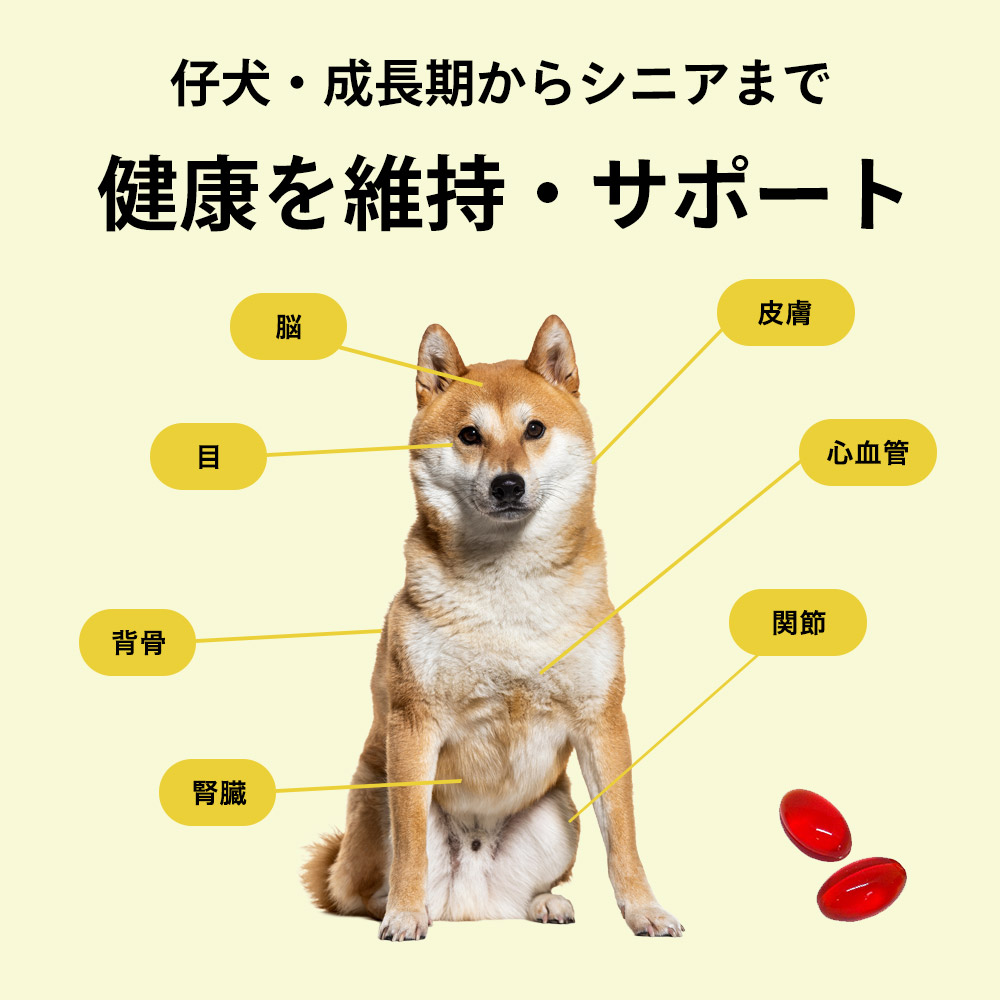 仔犬・成長期からシニアまで。脳・目・背骨・皮膚・心血管・関節をサポート！
