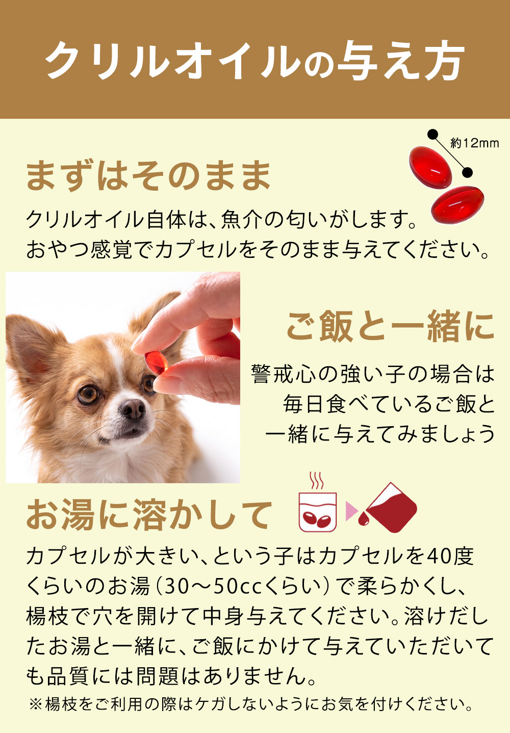 犬用クリルオイルの与え方。約12mmのカプセルをそのまま与える、ご飯に混ぜる、ぬるま湯で柔らかくして中身をかける方法を紹介。