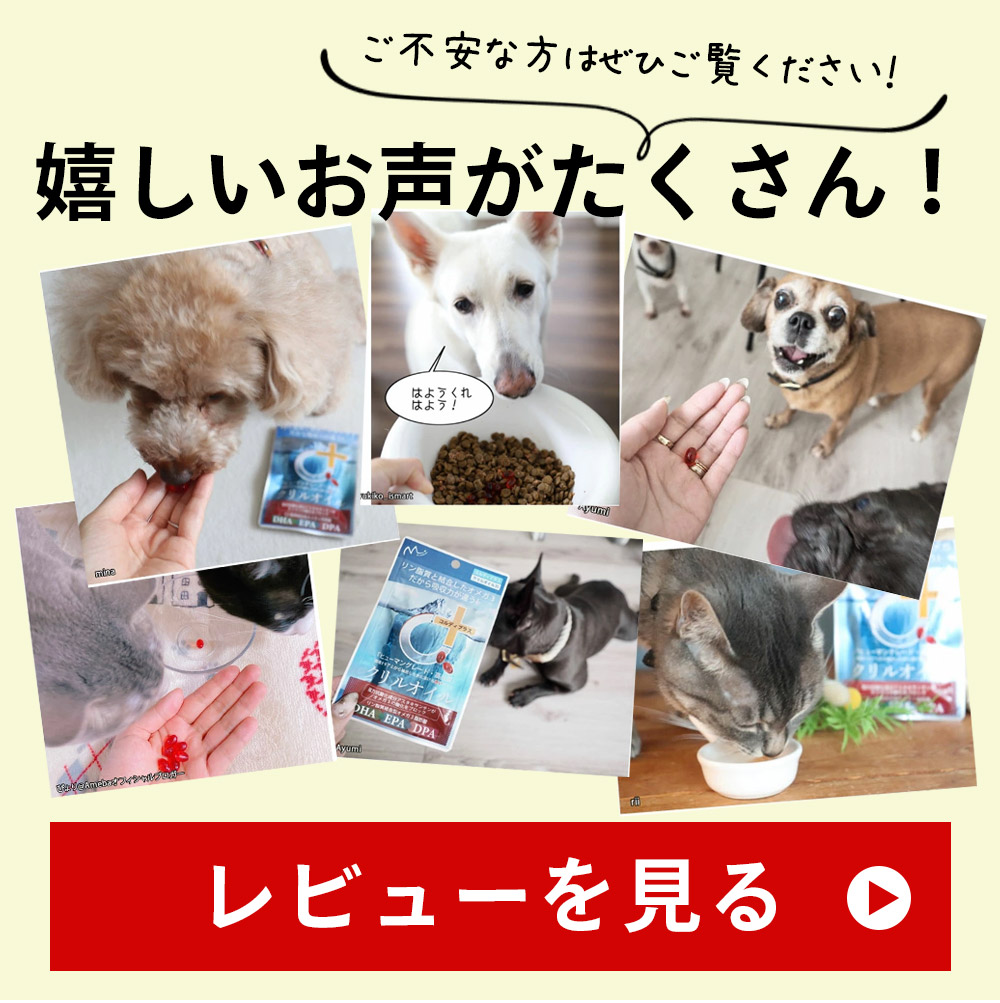 レビューを一覧を見る