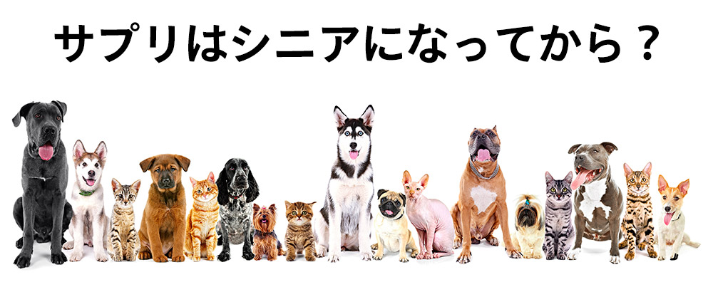 サプリはシニアになってから？