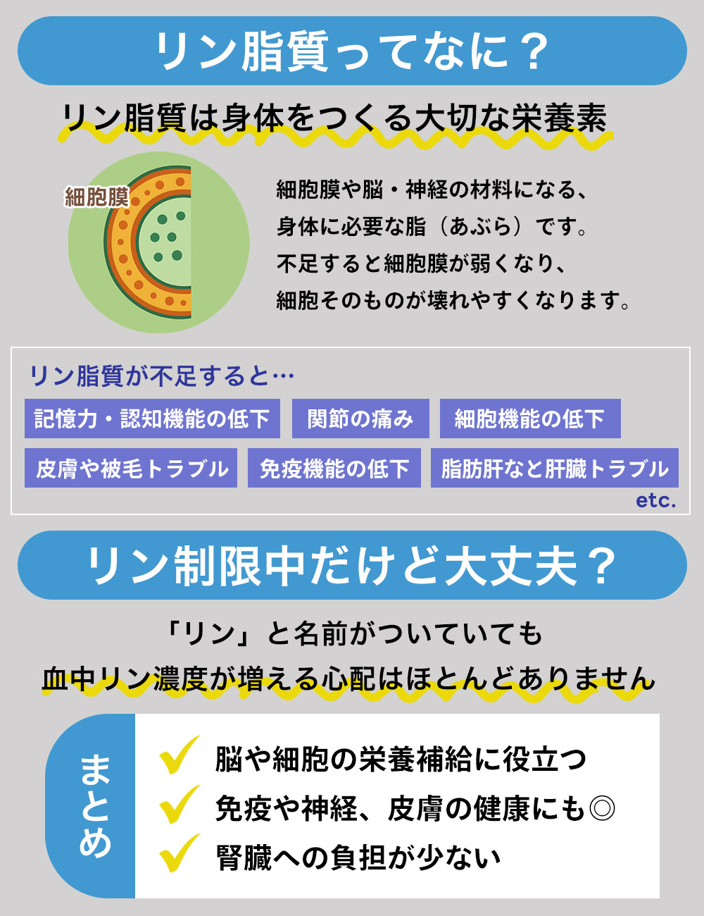 リン脂質の役割や細胞膜との関係を解説し、リン制限中でも取り入れやすい栄養成分として、健康維持への活用ポイントを紹介。