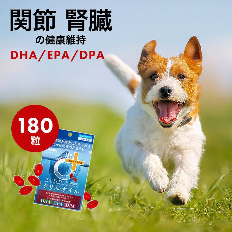 犬 猫 犬用 サプリ 猫用 サプリメント dha EPA DHA オメガ3オイル 無添加 抗酸化 ひざ 関節 炎症 認知症 でも投与可 クリルオイル  180粒 メール便送料無料