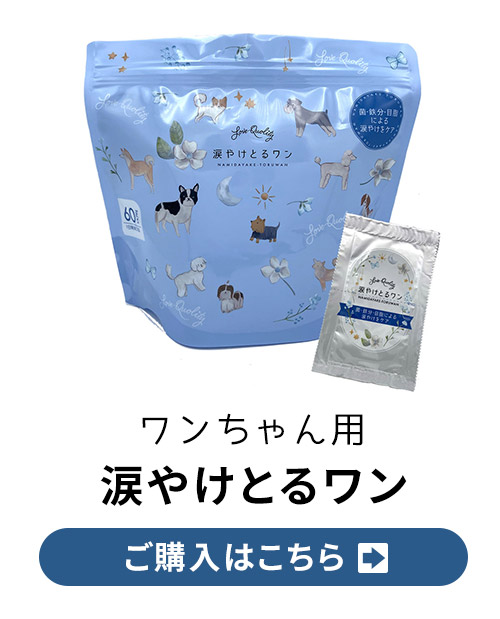 涙やけとるワン