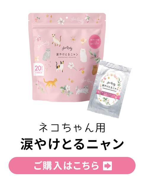涙やけとるニャン