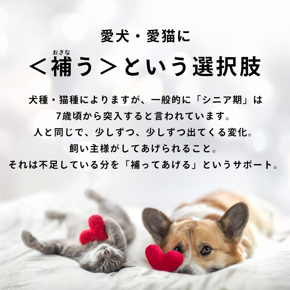 モノリス サプリメント 犬 猫 ペット お試しセット コルディ 3g クリル