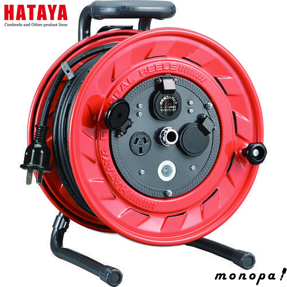 猫目三兄弟 タイプロ timelesz_project 路己 猫 三 兄弟