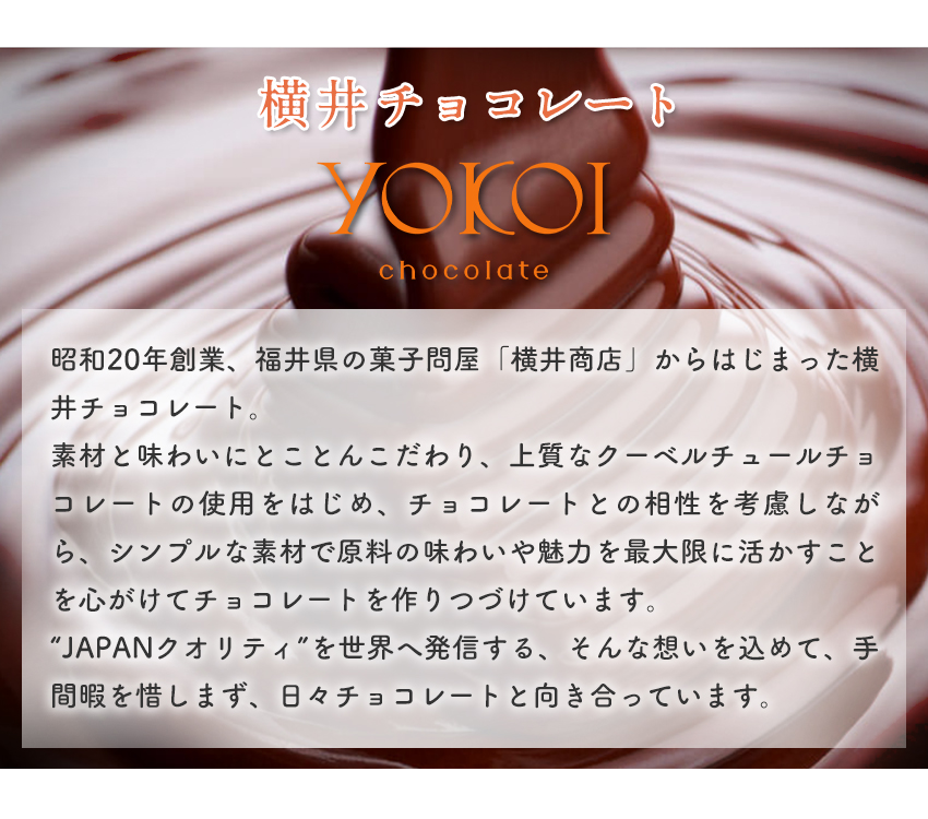 国内製造 シルクチョコレートBOX アソート 化粧箱入り ジャンドゥーヤ