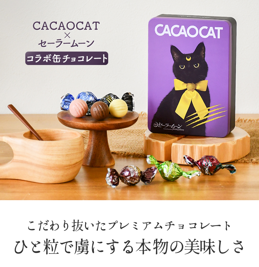 セーラームーン カカオキャット　CACAOCAT コラボ　10缶　おまとめ CACAOCAT缶 5個入『美少女戦士セーラームーン』10缶 コンプリート