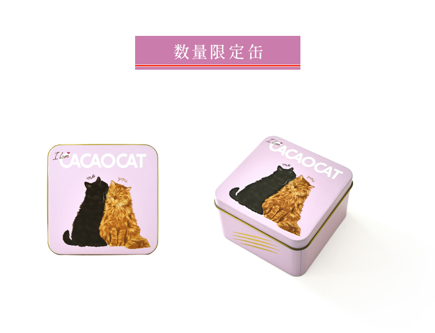 国内製造 CACAOCAT チョコレート You&Me 6pcs アソート プレミアム