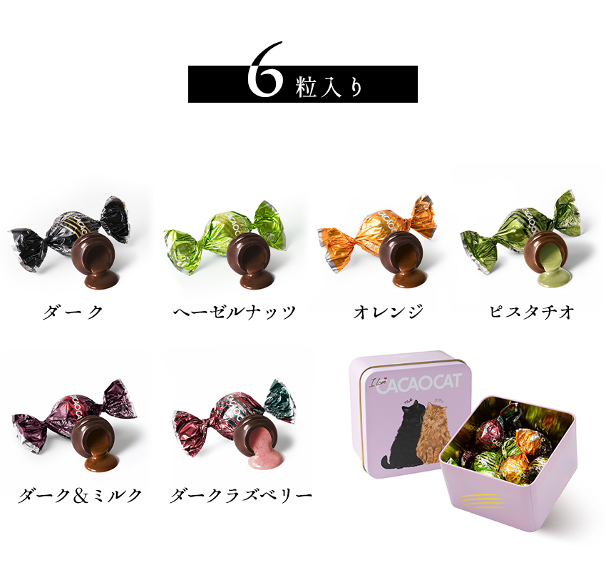 国内製造 CACAOCAT チョコレート You&Me 6pcs アソート プレミアム