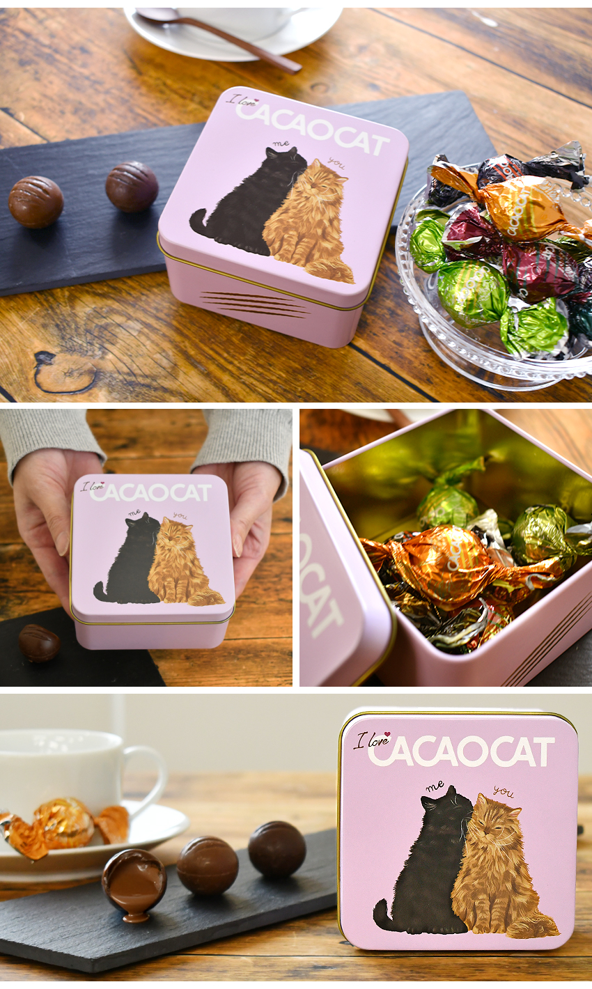 国内製造 CACAOCAT チョコレート You&Me 6pcs アソート プレミアム