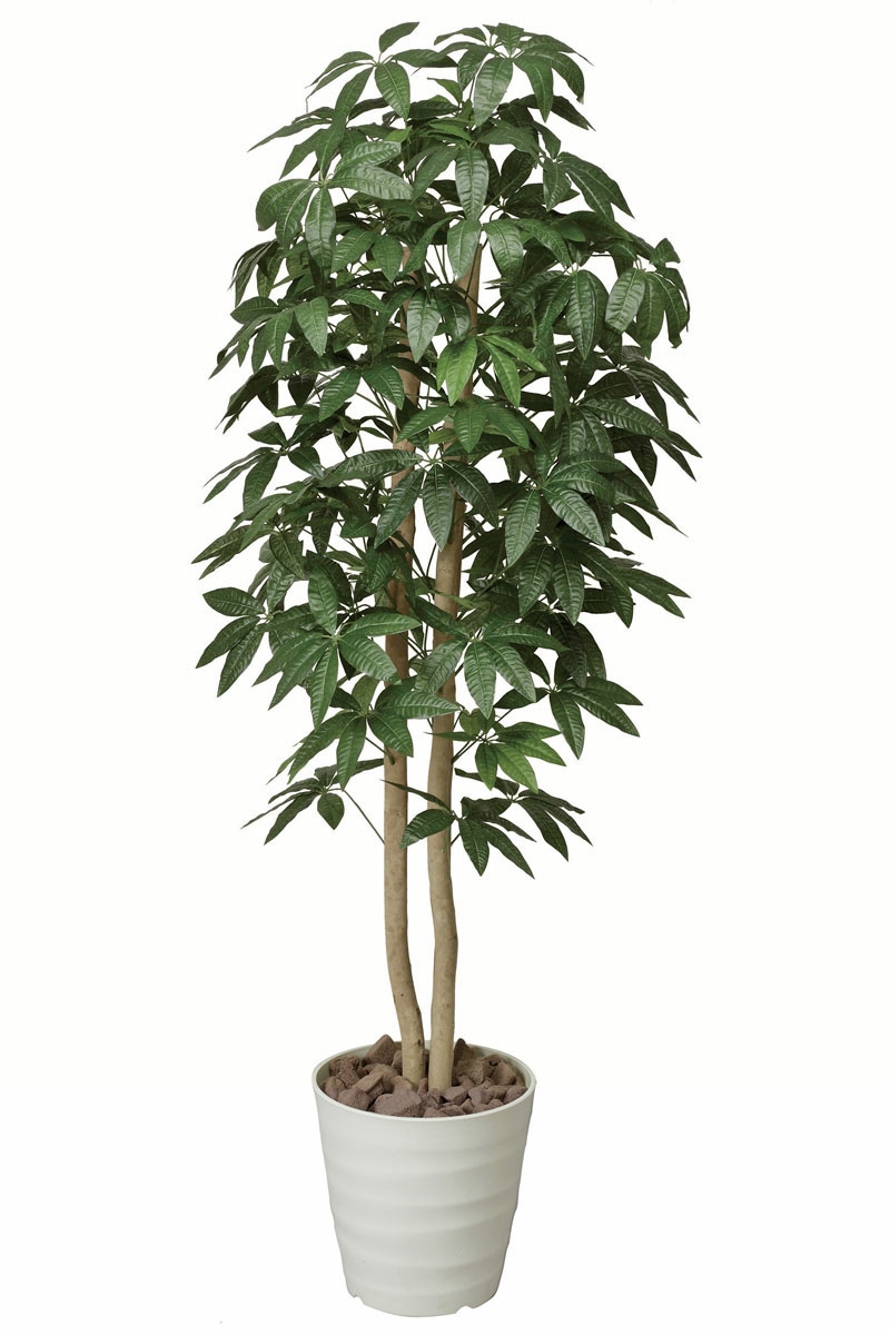 光触媒人工観葉植物、パキラツリー1.6m