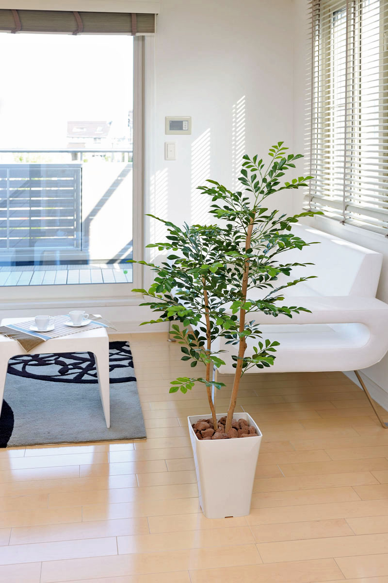 光触媒人工観葉植物、トネリコ1.2m
