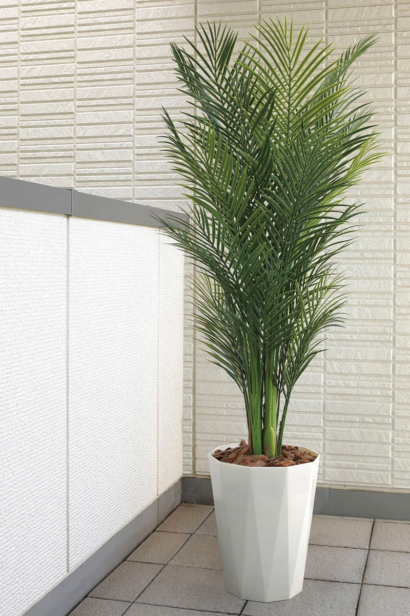 光触媒人工観葉植物、アレカパーム1.7m
