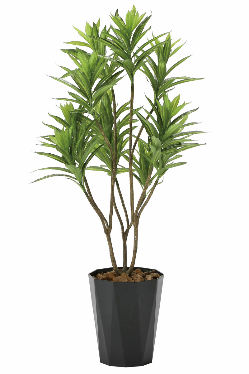 光触媒人工観葉植物、フレッシュドラセナ1.2m