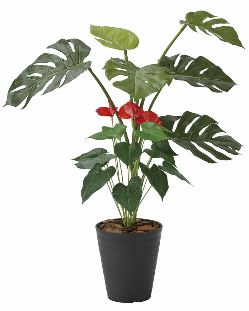 光触媒人工観葉植物、モンステラ＆アンスリューム95cm