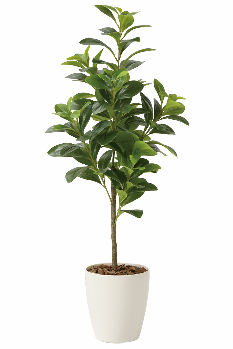 光触媒人工観葉植物、フレッシュマネーツリー90cm