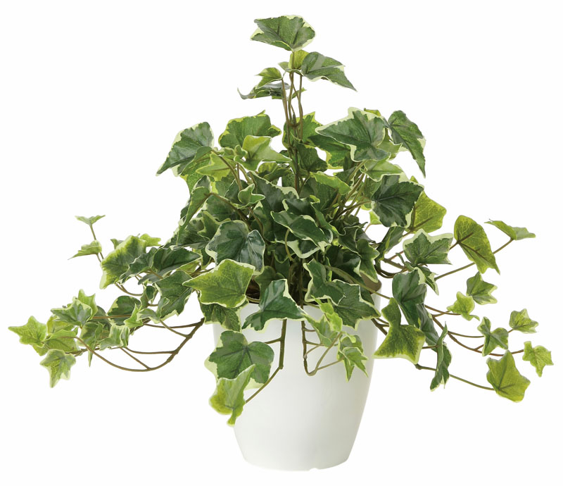 人工観葉植物 フェイクグリーン 光触媒 観葉植物 フレッシュ斑入り 
