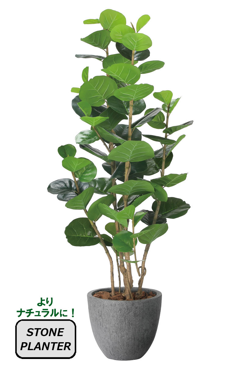光触媒人工観葉植物、ナチュラルシーグレープ1.6m、ストーンプランター